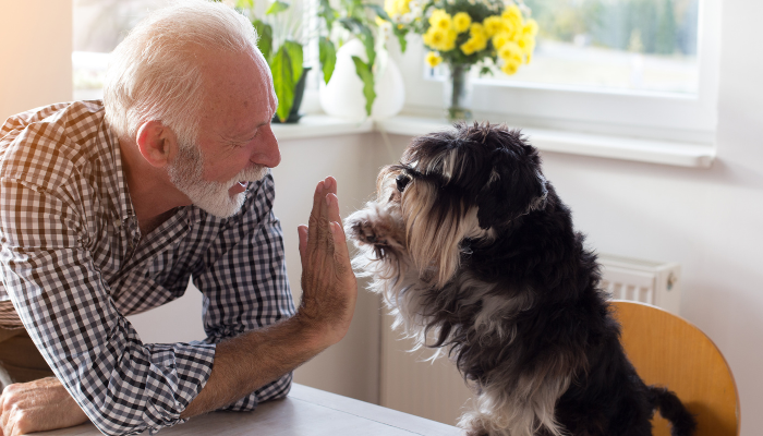 A pensioner next to the dog.