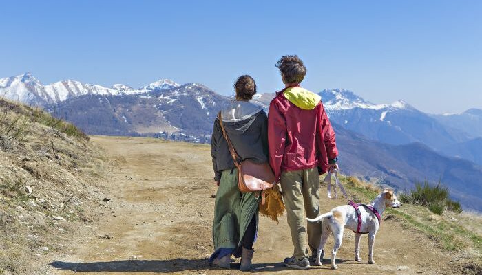A couple together with their dog on a mountain road.